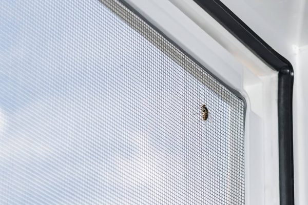 moskitiera w drzwiach balkonowych